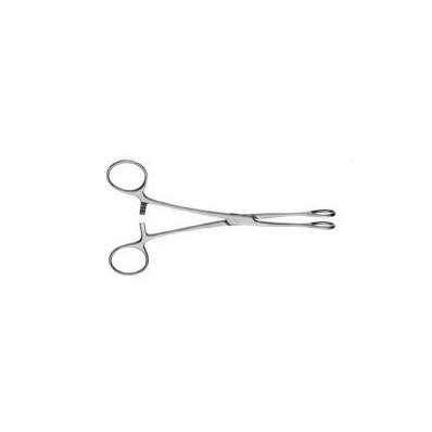 Sponge Holding Forcep Ballenger Scissor Type