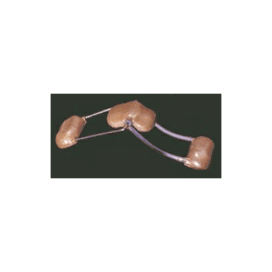 Spring Finger Support Extend It Wire / Foam