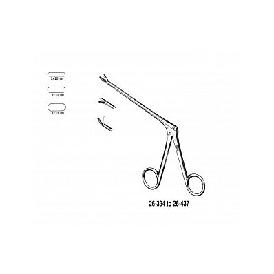Spur Rong 4x10mm Str 5