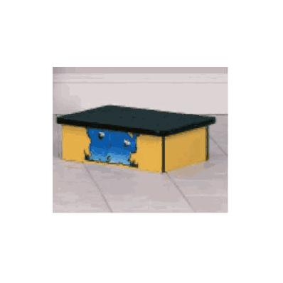 Step Stool Pediatric 7 Inch - Stool, Foot K