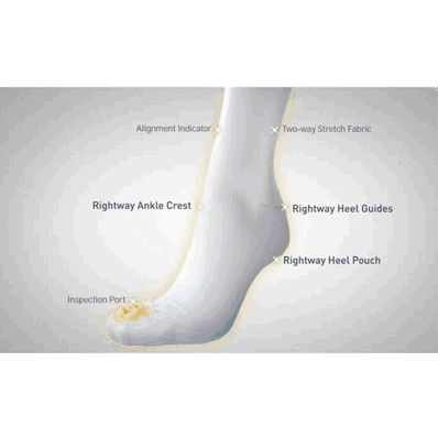 Stock Antiemb Knee 2xl Reg - Medline