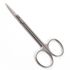 Straight 4-1/2" Sterile Disposable Iris Scissors 10/bx, Sterilized in USA, Sklar 96-3505<br><br><font color="red"><b>BACK TO THE PRODUCT TABLE, <a href="https://www.aaawholesalecompany.com/sklar-sterile-disposable-instruments-sterile-iris-scissors.html">CLICK HERE</a></b></font>