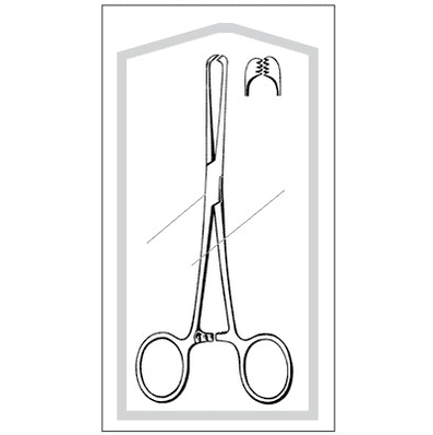 Straight 6 X 7 Teeth, 7-1/4" Allis Tissue Forceps 50/Bx