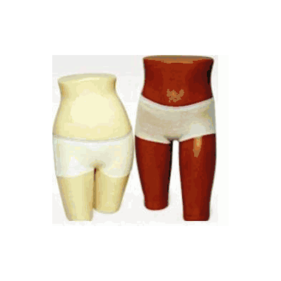 Stretch Brief Unisex Mesh, Nylon Large - Brie