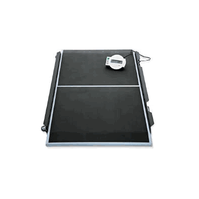 Seca 656 Stretcher and Wheelchair Platform Scale 