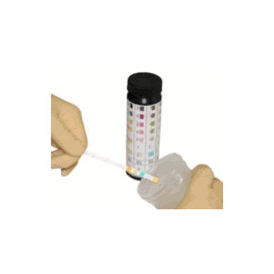 Strip, Urinalysis 10-parameter (100/Vl) - Lw