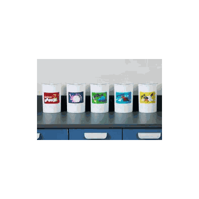 Sundry Jar Multi-Purpose, 4-3/8 x 6-1/2", White