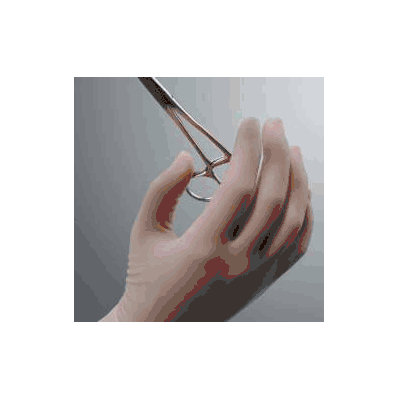 Surgical Glove Neolon 2g Sterile Powder Free
