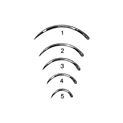 Suture Needle Lane Size 4 Needle - NeEdle, Cl