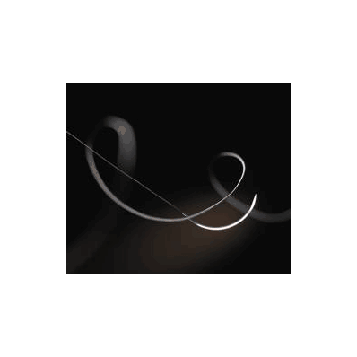 Steelex Stainless Steel,
