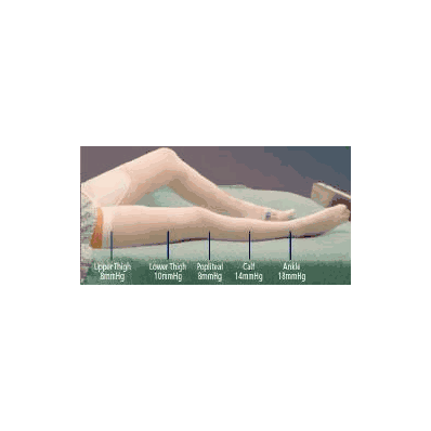 T.E.D. Anti-embolism Stockings Knee-high 3 X