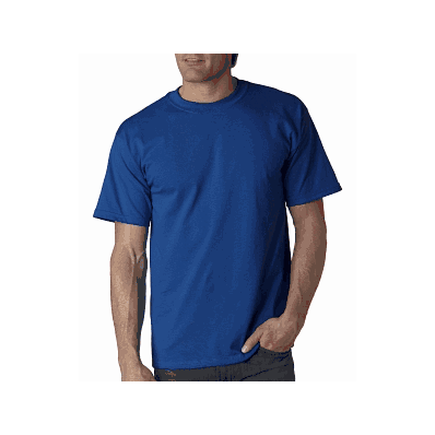 T-shirt, Mens, Short Sleeve, Gilden, Roy - Me