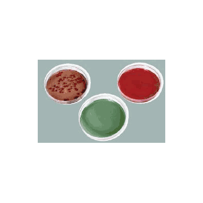 Test Media Potato Dextrose Agar - Agar, Potat
