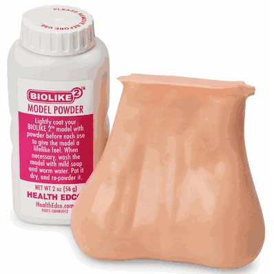 Testicle Model/2 Lumps In 1