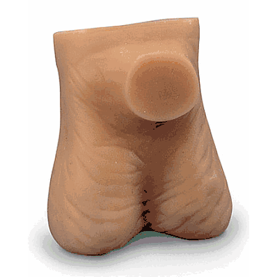 Testicle Model