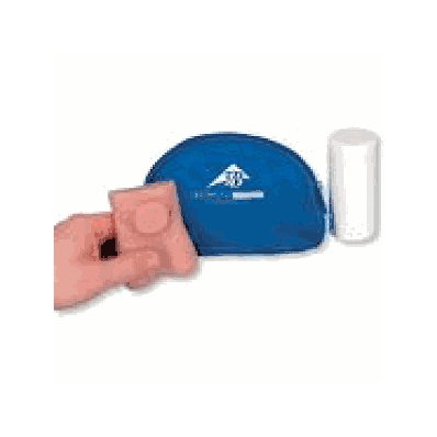Testicle Model