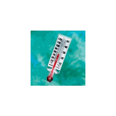 Thermometer - Thermometer, For TeE Adapter Di