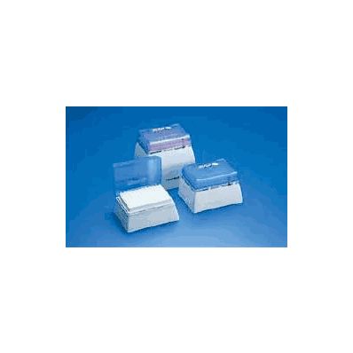 Tip, Pipette Eppendorf Tissue Culture And Mi