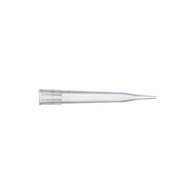 Tip, Pipette Finntip 300 5-300ul (1000/Pk) -
