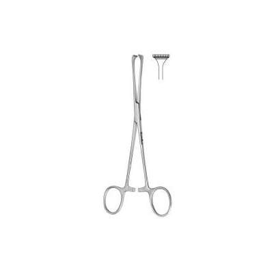 Tissue Forceps Allis-adair 6-1/2 Inch - Force