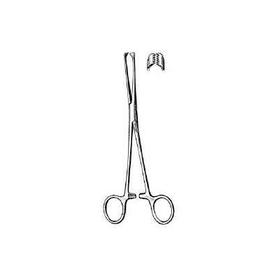 Tissue Forceps Allis Scissor Type Straight 6