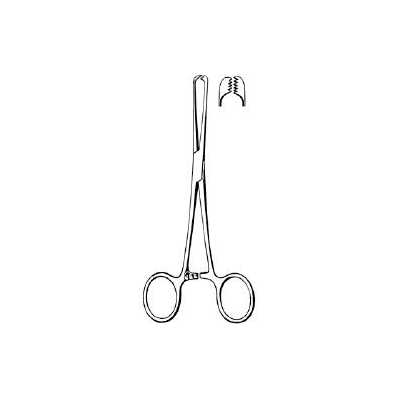 Tissue Forceps Allis Scissor Type Straight 6