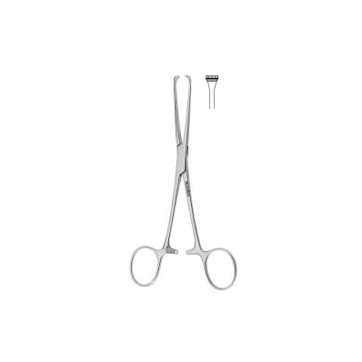 Tissue Forceps Boys-allis 6 Inch - Forcep, Bo