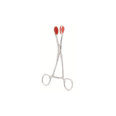 Tongue Forceps Young 6-1/2 Inch - Forcep, You