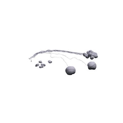 Tonsil Sponge Cotton Large - Sponge, Tonsil L