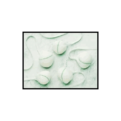 Tonsil Sponge Cotton Tape 7/8 Inch - Sponge,