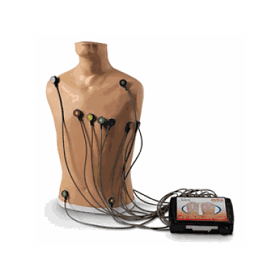 Trainer, 15-lead, Ecg Placement, Life / Form