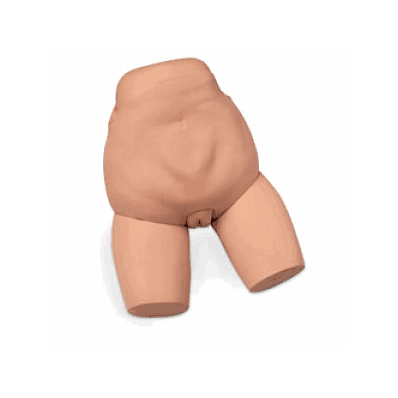 Trainer, Assessment, Fundus, Skills - Medline