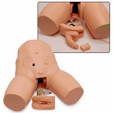 Willi and Cathi Catheterization Trainers