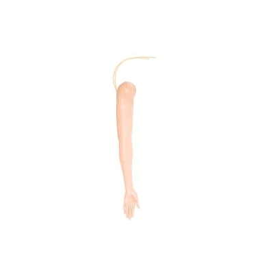 Training Arm, Fml - - Laerdal Medical