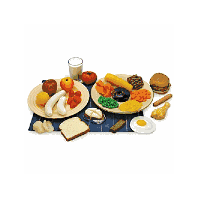 Training only, Fake, Food Assortment, Replca