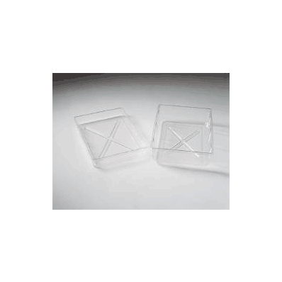 Tray - Tray, Transparent 3" Tall - Waterloo