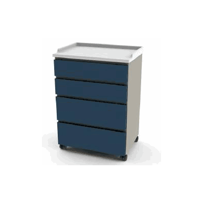 Treatment Cabinet Mobile Stainless Steel 4 Dr