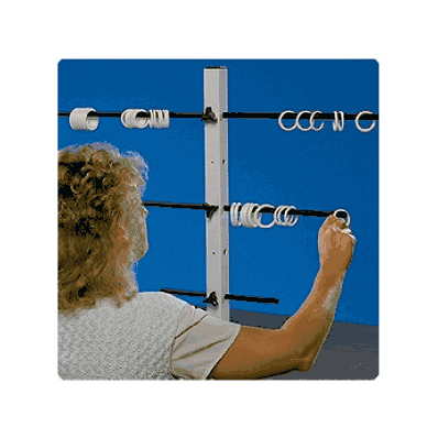 Tree, Horizontal Ring (36), Phys Therapy