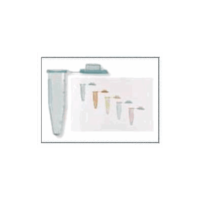 Tube, Microcentrifuge W/Flat Top Cap (500/Pk)