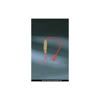Tubes, Linton, Triple Lumen, Adult, 20FR