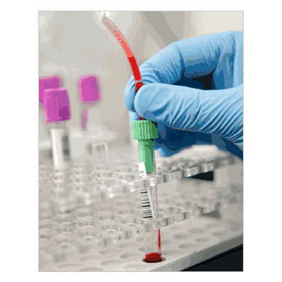 Typesafe Segment Sampling Devices By Typenex