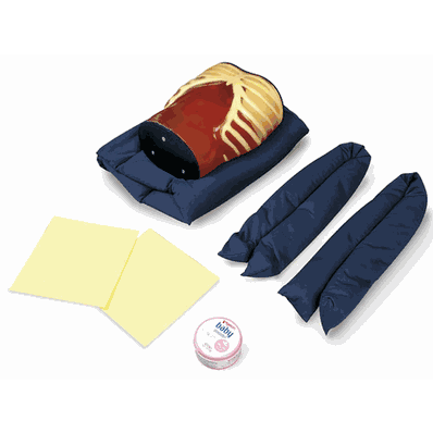 Ultrasound ABDFAN Training Model