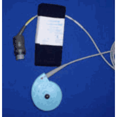 Ultrasound Transducer Nautilus 8 Foot L Cable