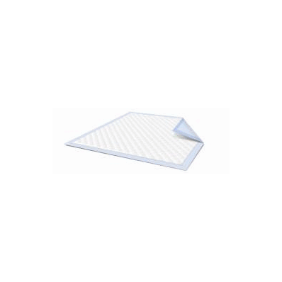 Underpad, Size 23" x 24" Light Absorbency
