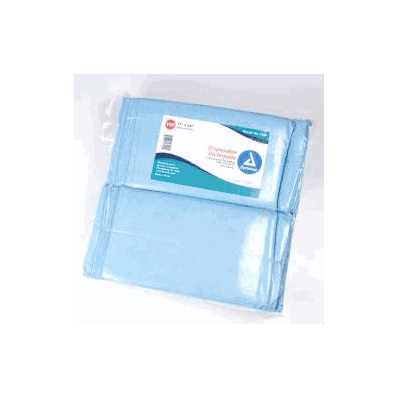 Underpad, Wtrprf N/Skid 17"X24" (100/Bg 3bg/C