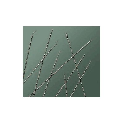 Ureteral Catheter, 4 Fr., 70 cm Whistle Tip