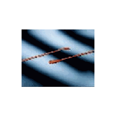 Urethral Catheter, color code: White, 12 Fr x 16"