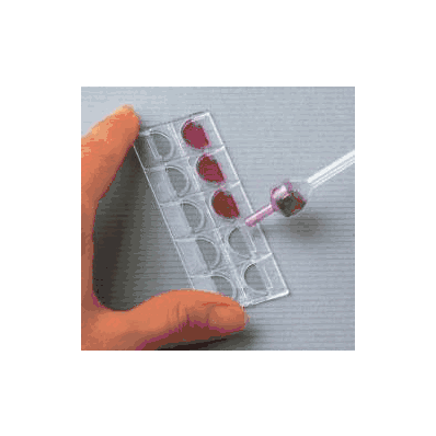Urinalysis Microscope Slide Kova Glasstic S