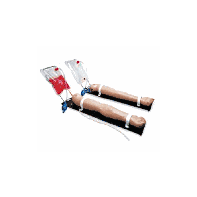 Venous Training Arm - Arm, Venous Training Mu
