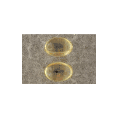 Vitamin D Supplement 2000 Iu Softgel 100 Per